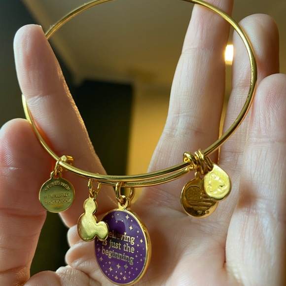 Alex and Ani Disney Bracelet - Picture 5 of 5